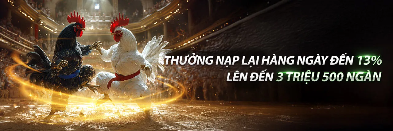 Chọn trận đấu và đặt cược đá gà trực tuyến với tỷ lệ hấp dẫn tại mb666